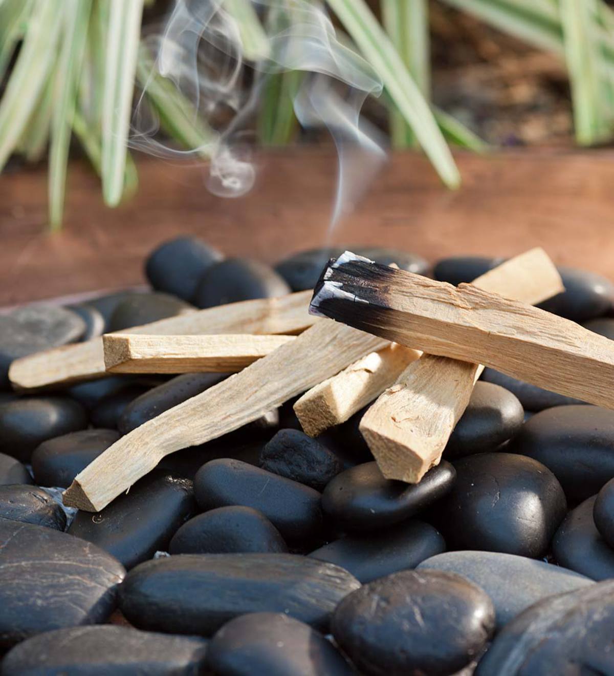House Cleansing: A Checklist for Clearing Bad Energy from Your Home -BLK+GRN