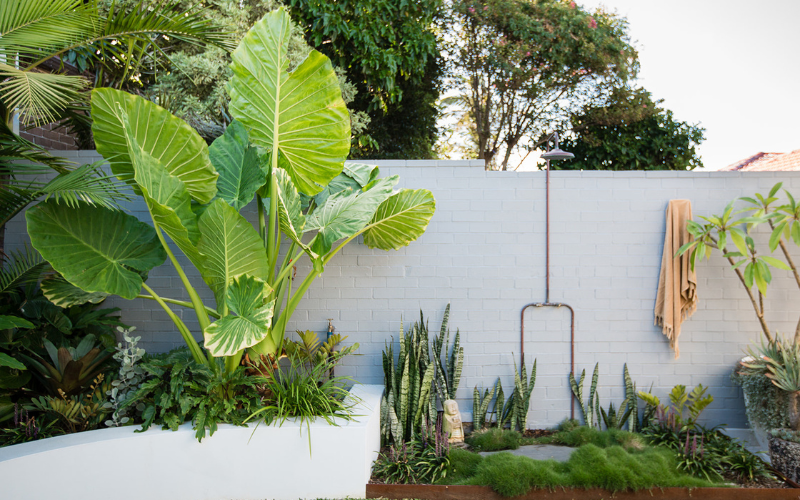 Eco-Friendly Backyard Design for the Southern Climate