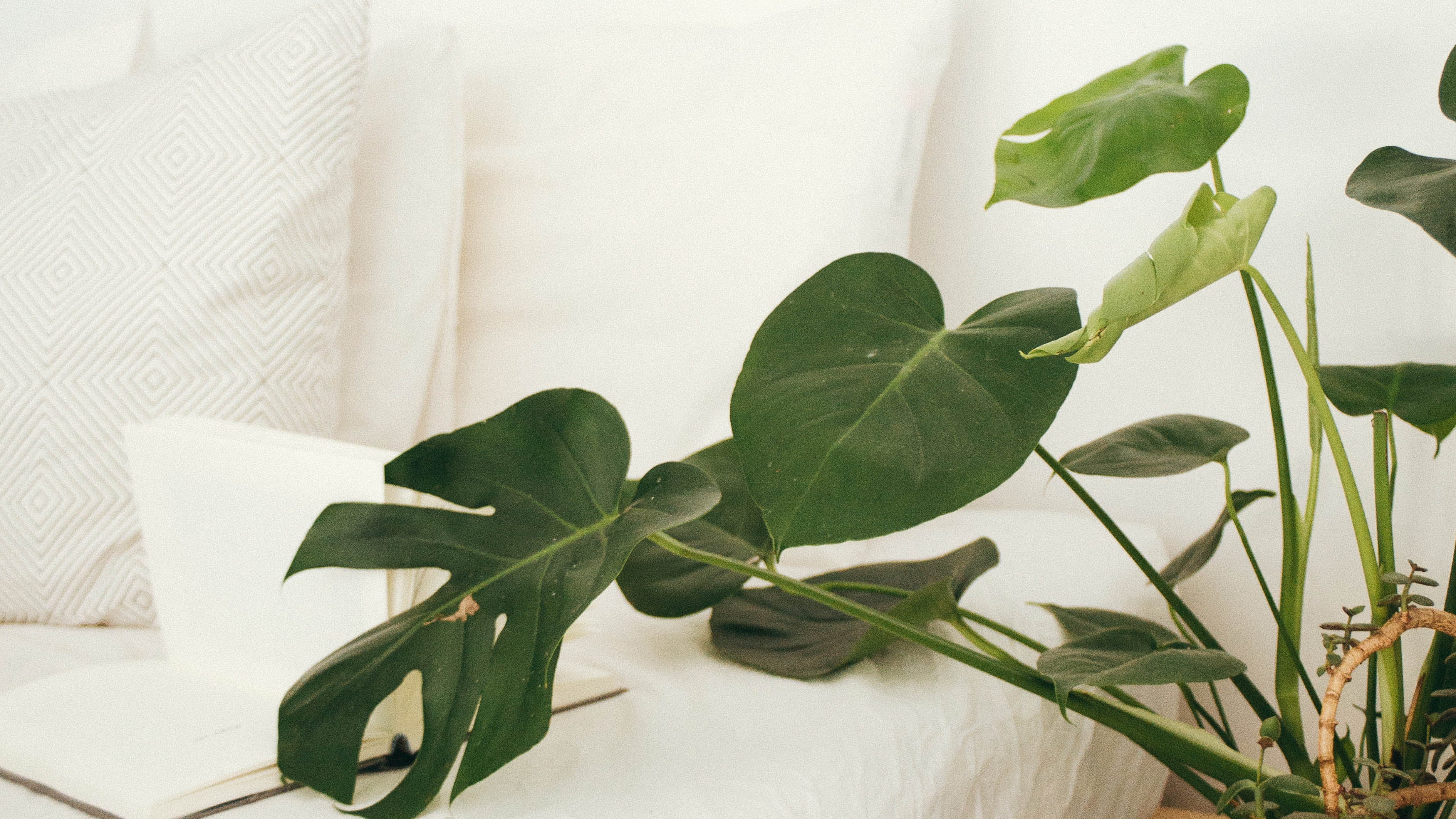 Trouble Sleeping? Tips for a Good Night’s Rest