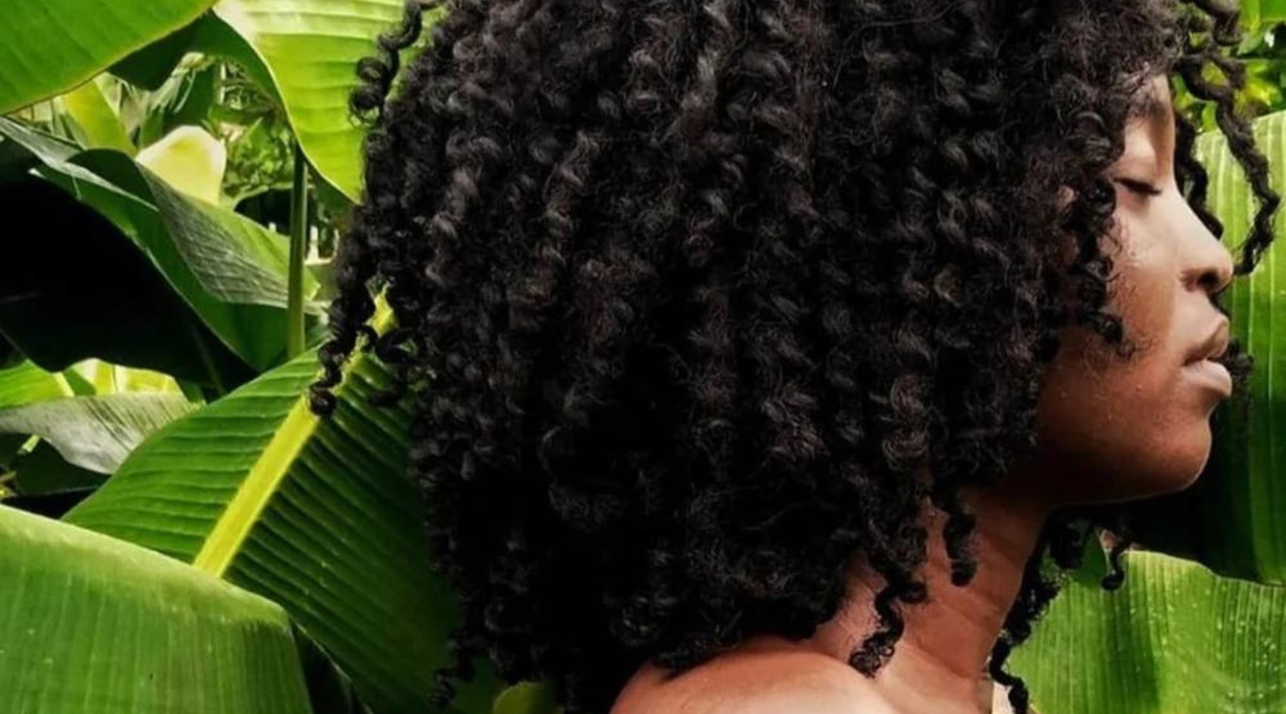 Scalp Health: Healthy Hair Begins with a Healthy Scalp- BLK+GRN