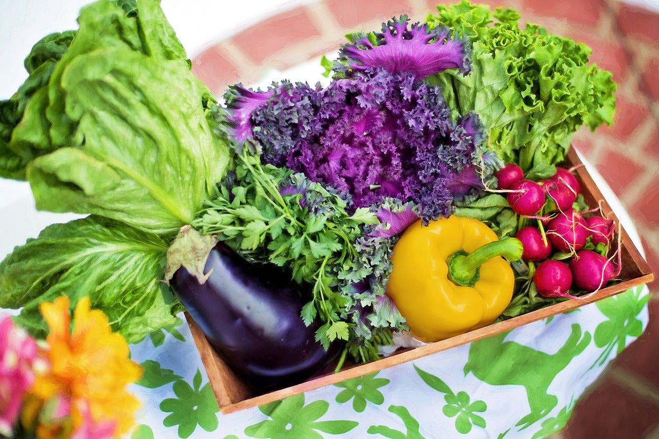 Plant-Based Power: The Truth Behind The Big ‘V’-BLK+GRN