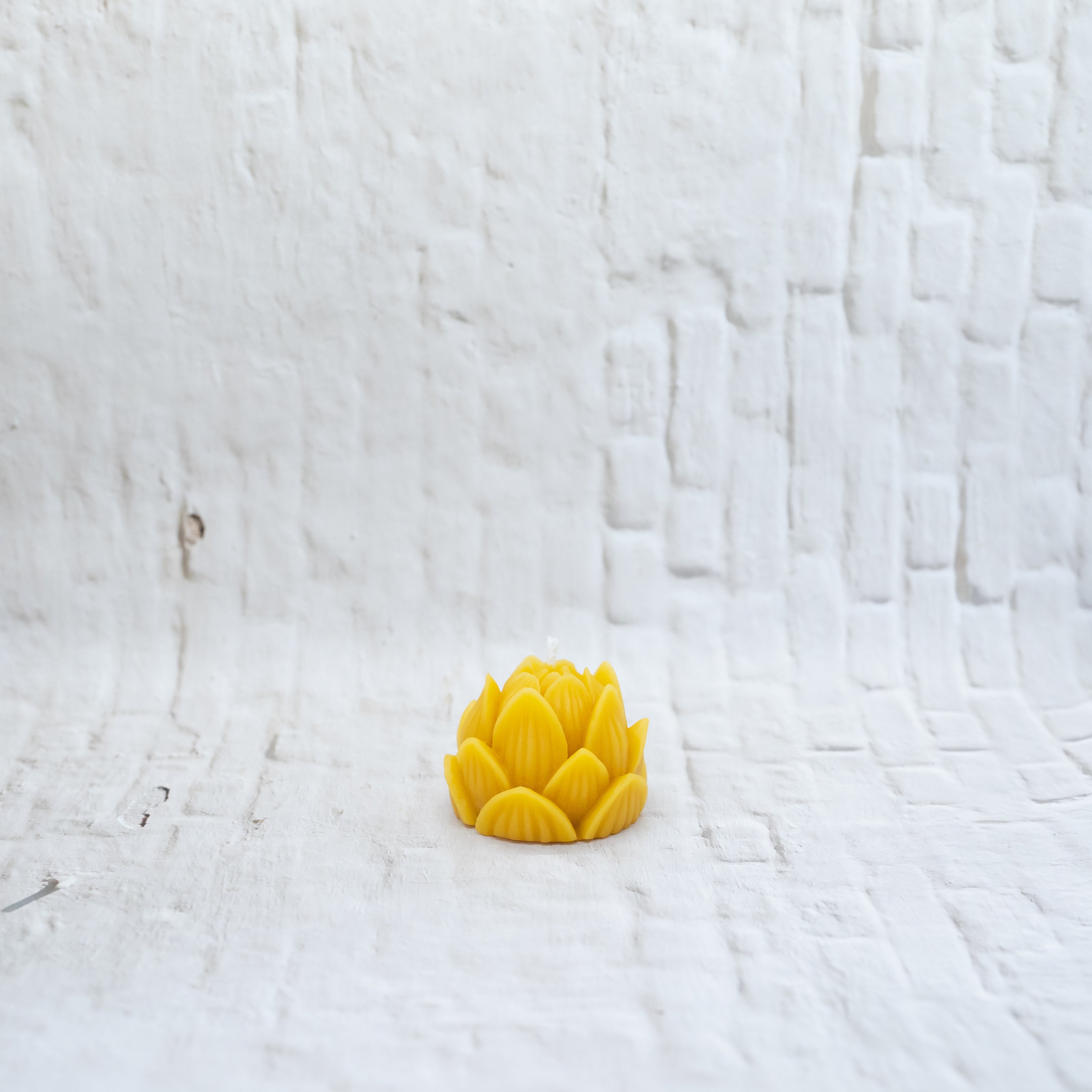 Lotus | Beeswax Votive Candle