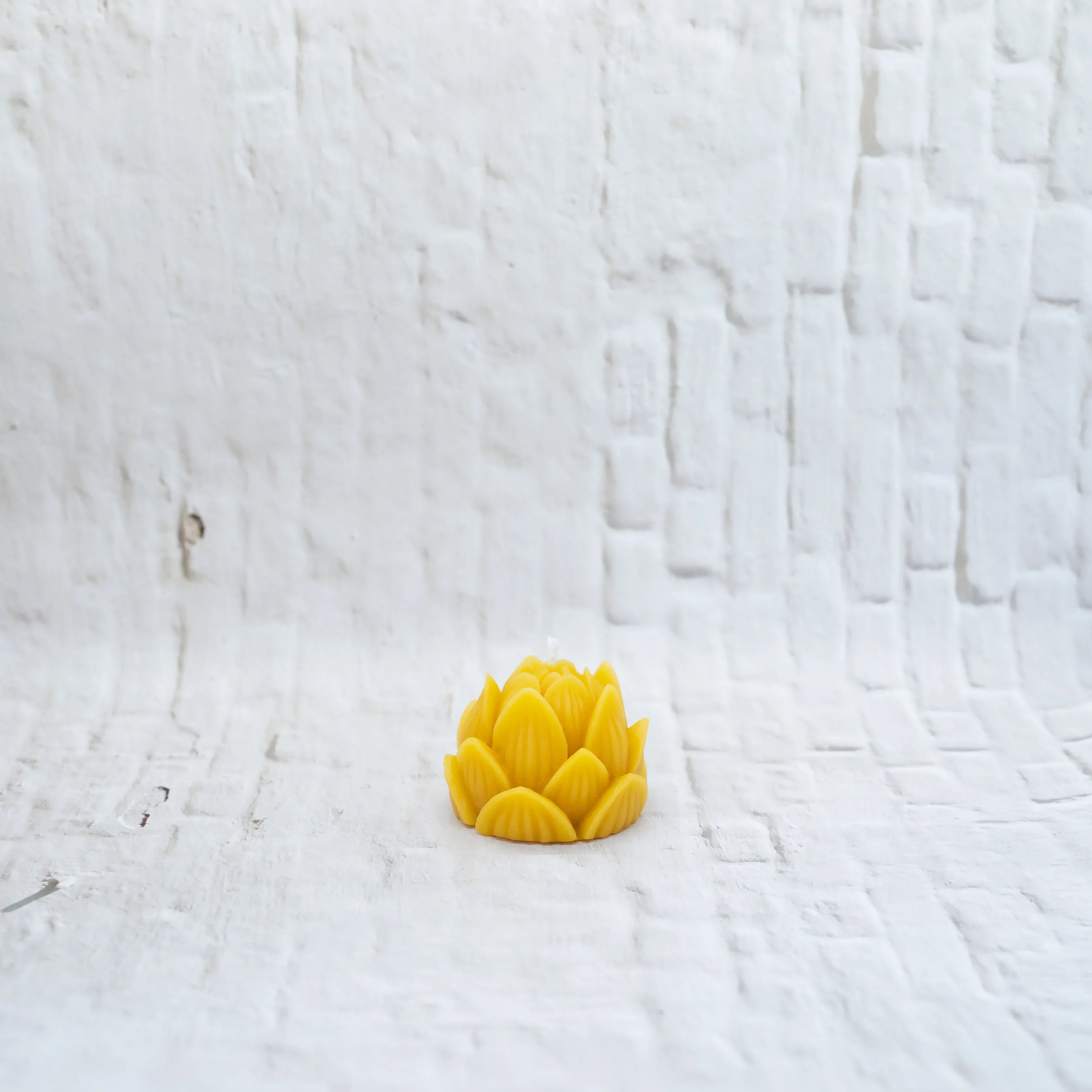 Lotus | Beeswax Votive Candle