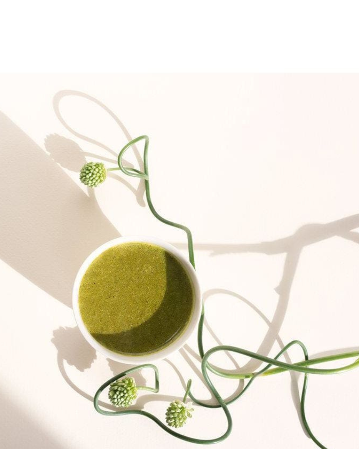 Matcha Turmeric Latte Blend