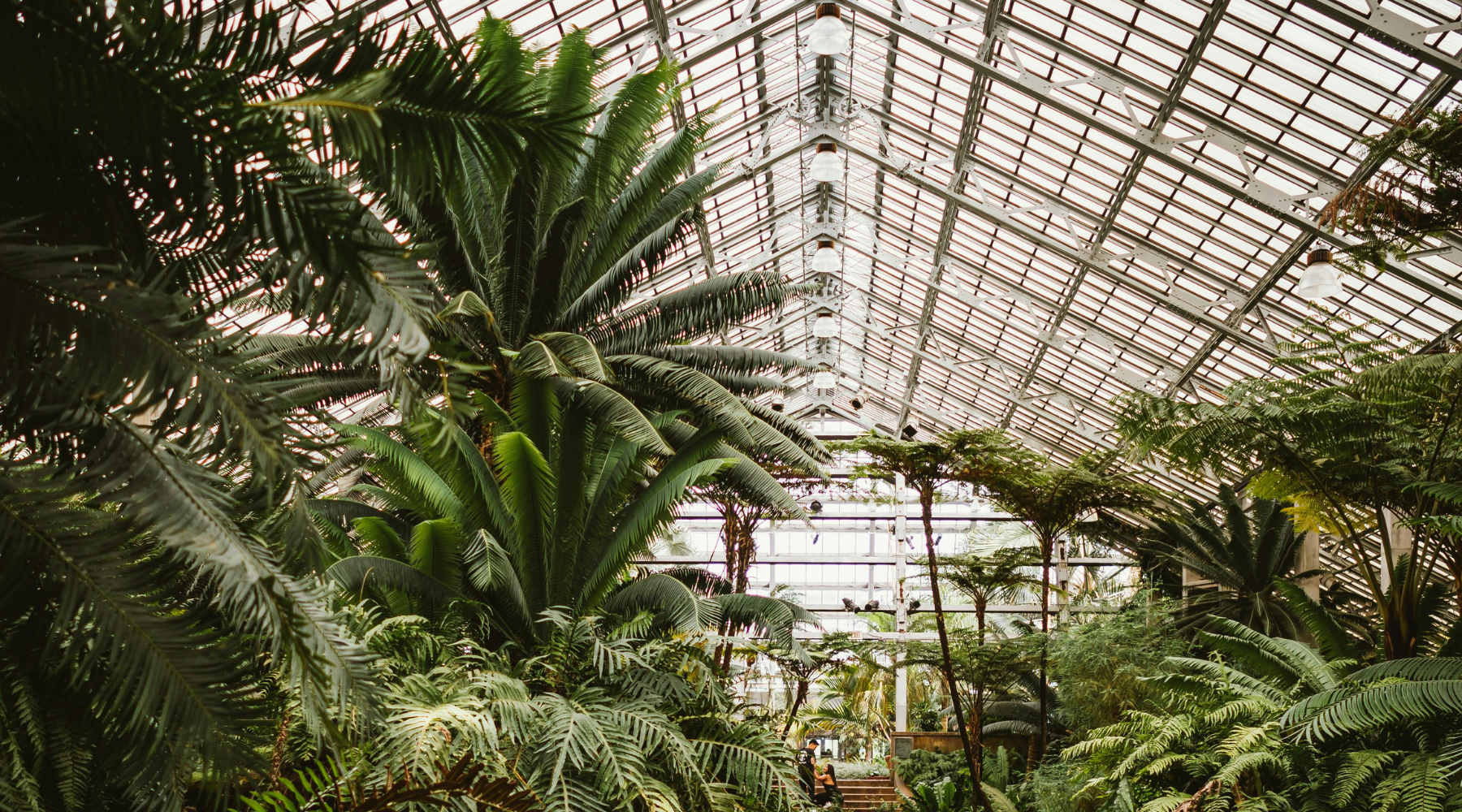 How to Build a Greenhouse Using a Steel Frame: A Sustainable Approach