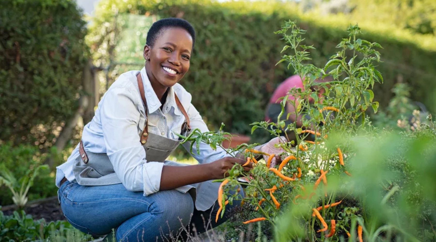 How Home Gardens are Helping Homeowners Combat Climate Change