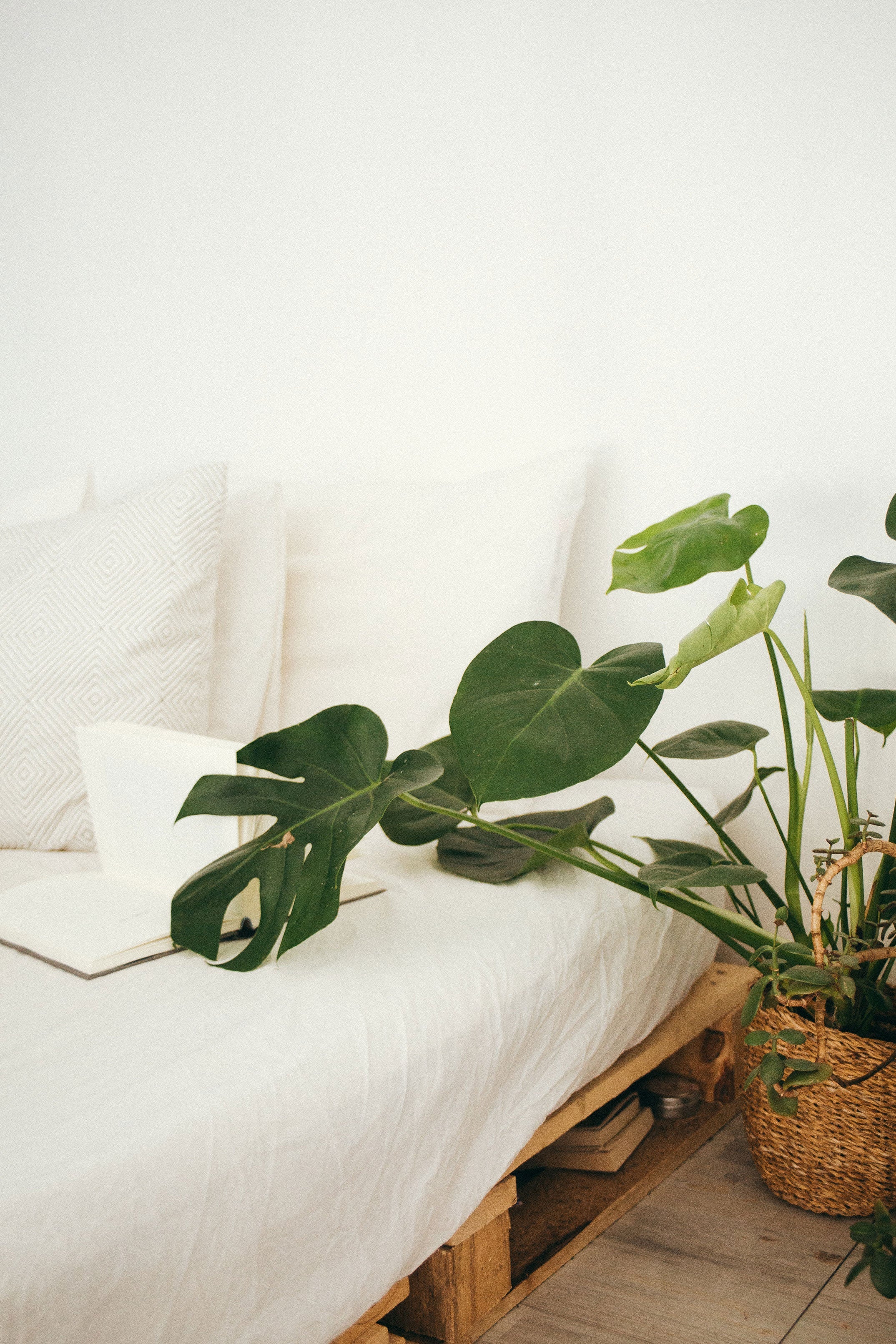 Rest Is The Precondition For Healing