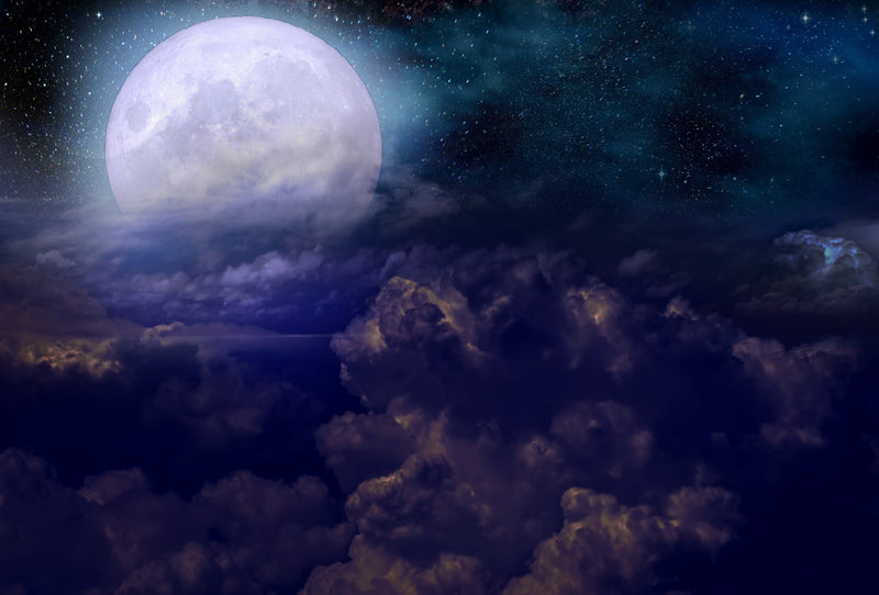 How to Harness New Moon Energy Like a Goddess